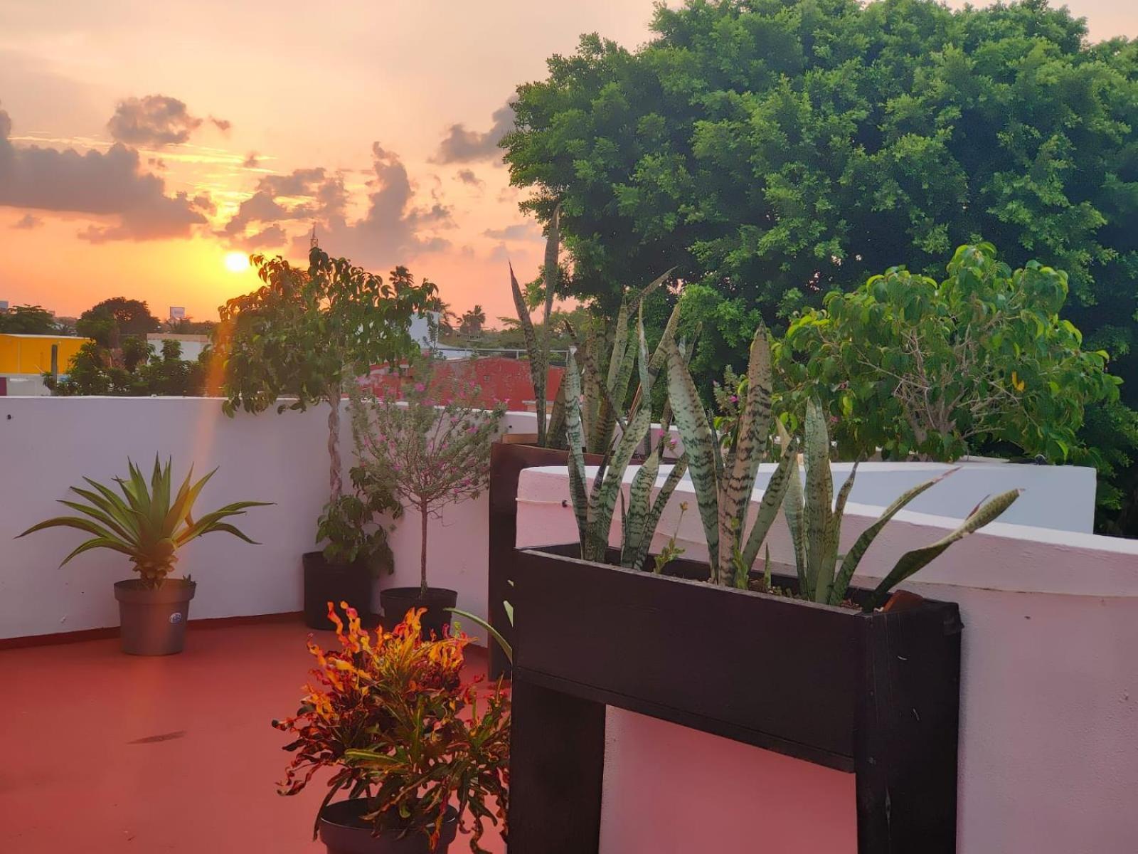 Casa Coraza Lejlighed Cancún Eksteriør billede